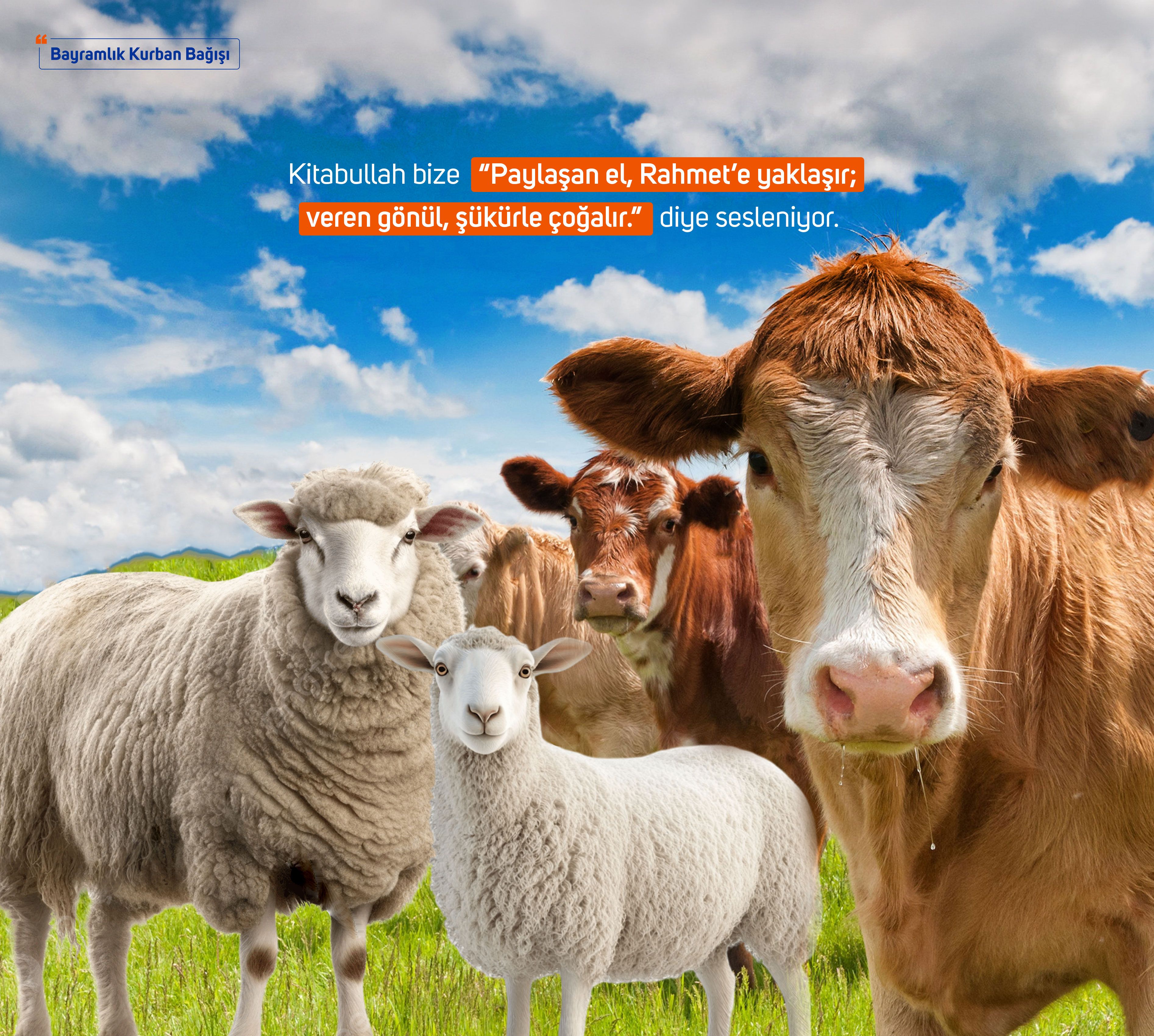 Bayramlık Kurban Bağışı