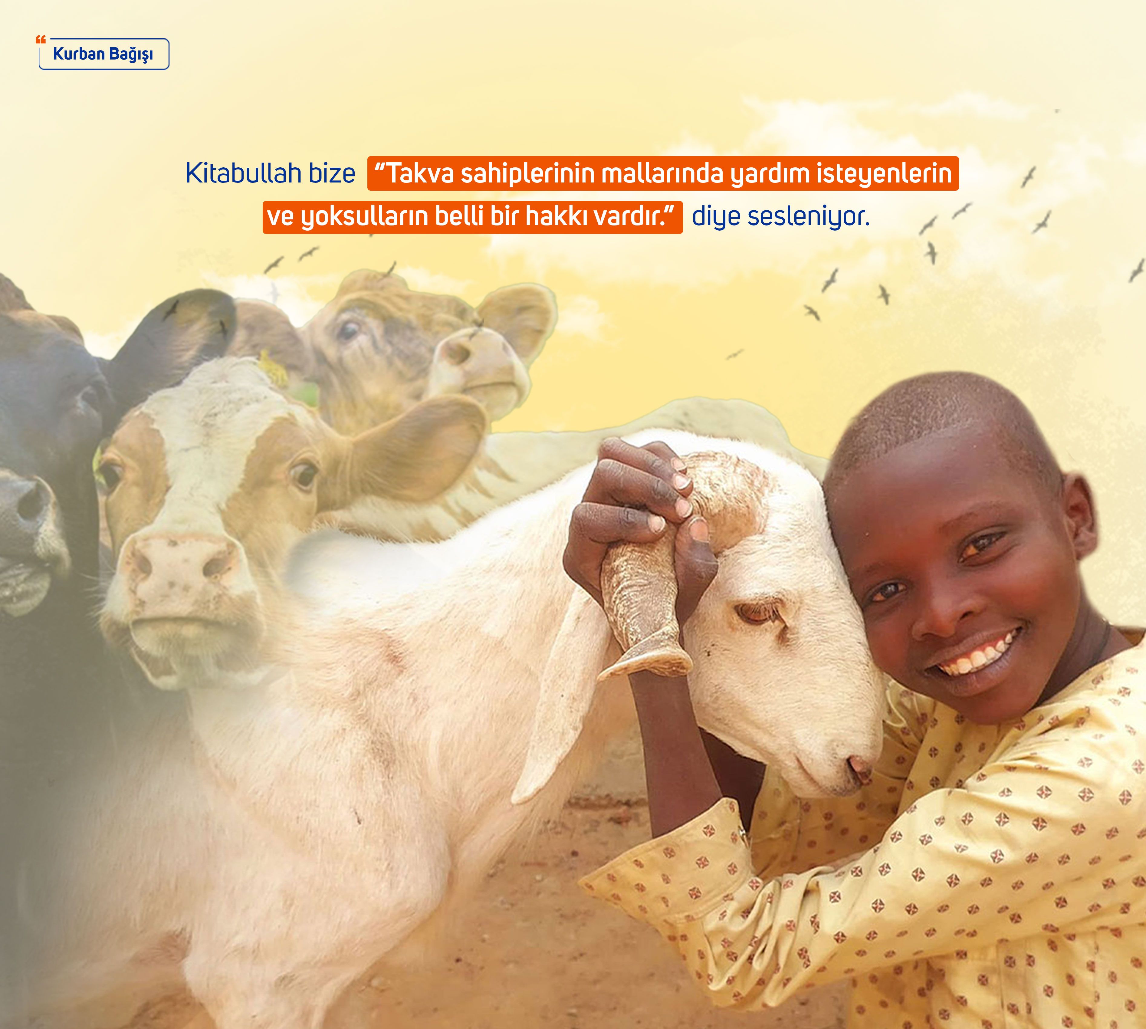 Kurban Bağışı